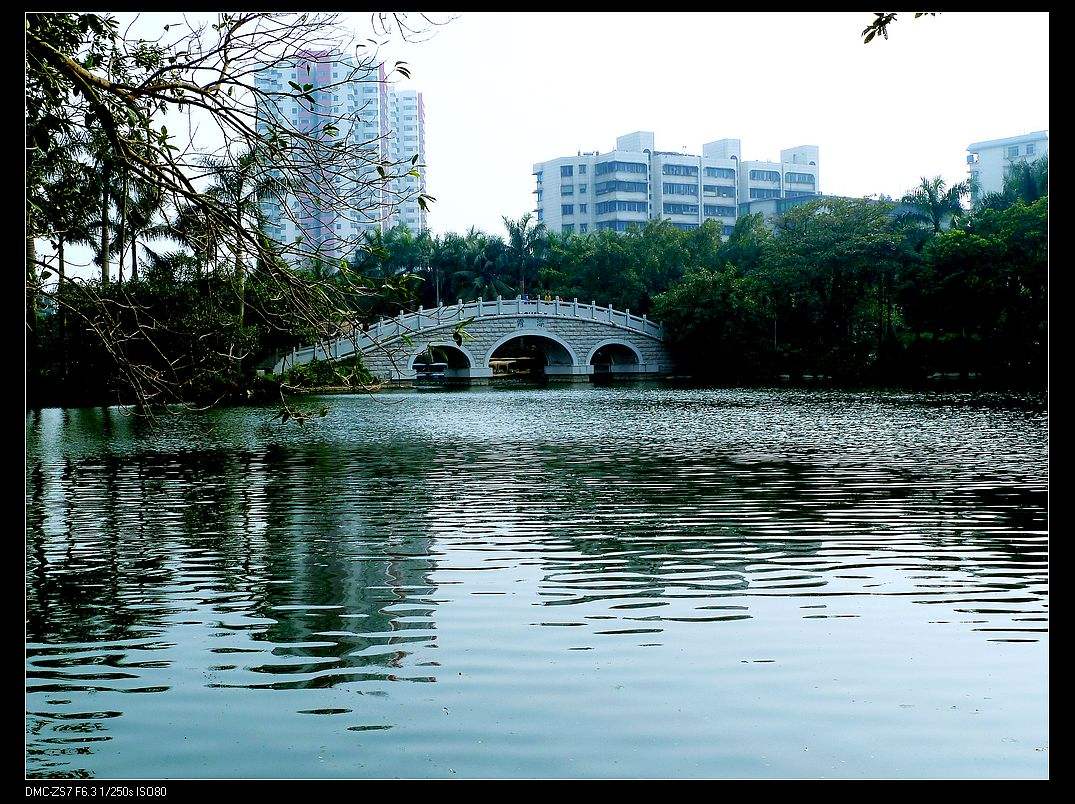 霞湖公园