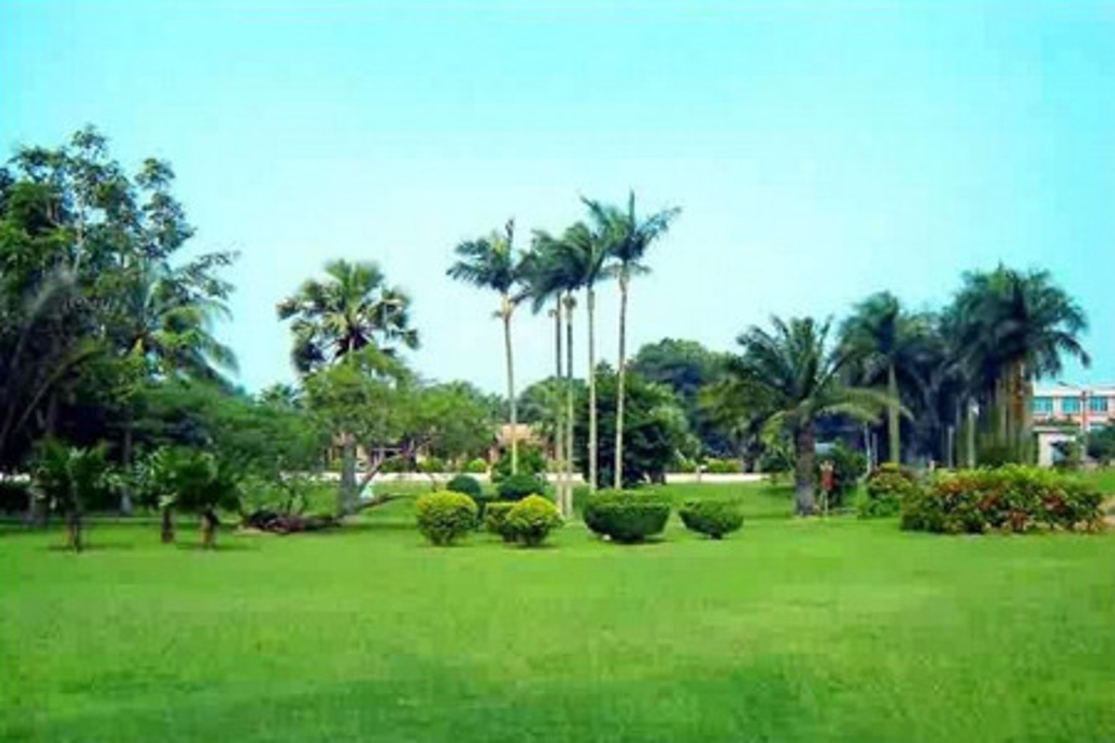 南亚奇园-南亚热带植物园